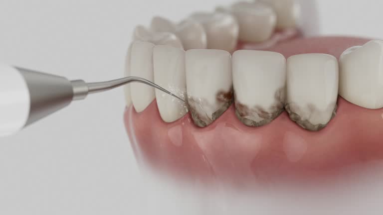 Reliable Dental contractor in Redstone Arsenal, AL by Dentist Open Now